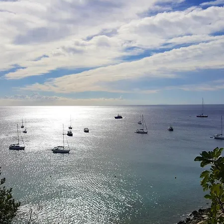 Vue à Bastia, Terrasse Et Piscine Privée. * Bastia (Corsica)