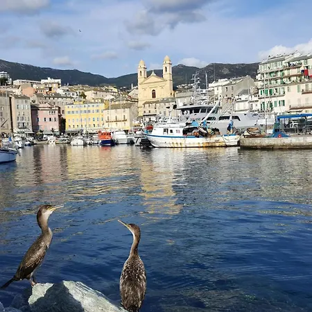 Vue A Bastia, Terrasse Et Piscine Privee. * Bastia (Corsica)