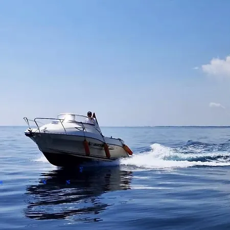 Апартаменты Vue A Bastia, Terrasse Et Piscine Privee. Бастия
