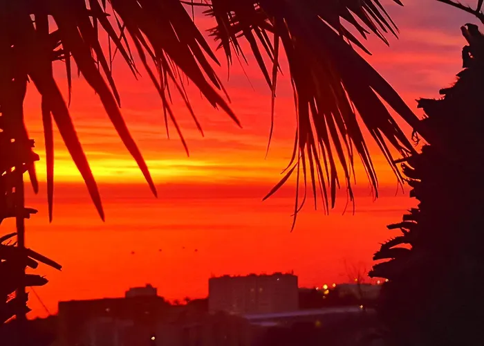 Sea View With Terrace And Private Pool * Bastia (Corsica)