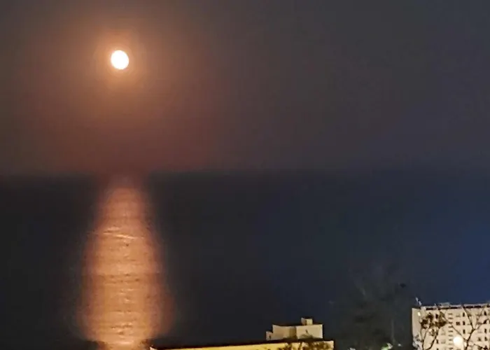 Vue A Bastia, Terrasse Et Piscine Privee. 아파트 바스티아