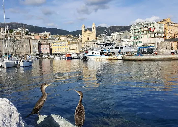 Vue A Bastia, Terrasse Et Piscine Privee. * 바스티아